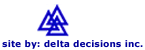 Website Design by Website Management Services - Delta Decisions Inc.